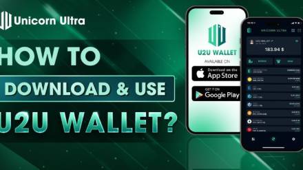 How to use U2U Wallet for storing digital assets and accessing the DApp?