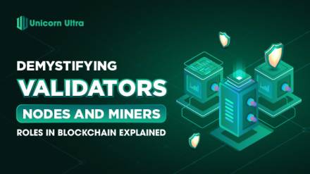 What Are Validators, Nodes and Miners? Their Roles in Blockchain