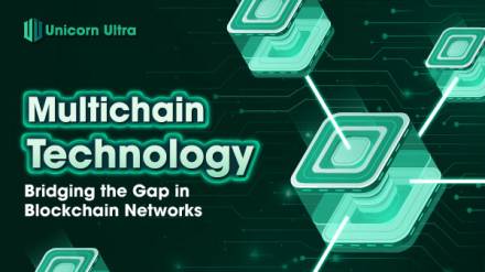 What is multichain crypto? How does this technology work?