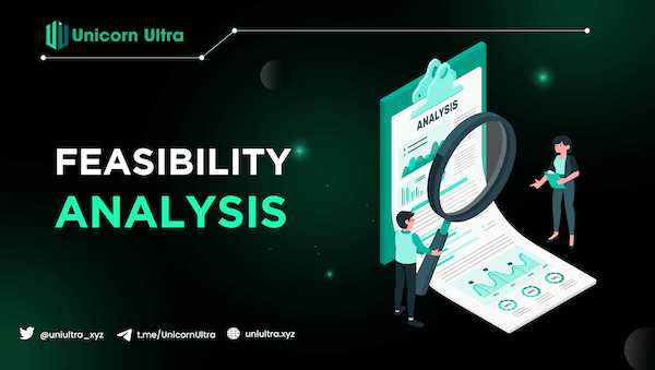 Stage 2: Feasibility Analysis