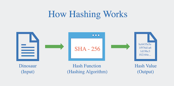 Common Hash Algorithms Used in Blockchain