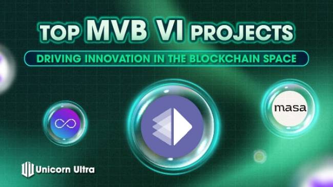top-mvb-vi-projects-most-valuable-builder