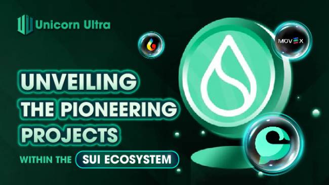 top-projects-on-the-sui-ecosystem