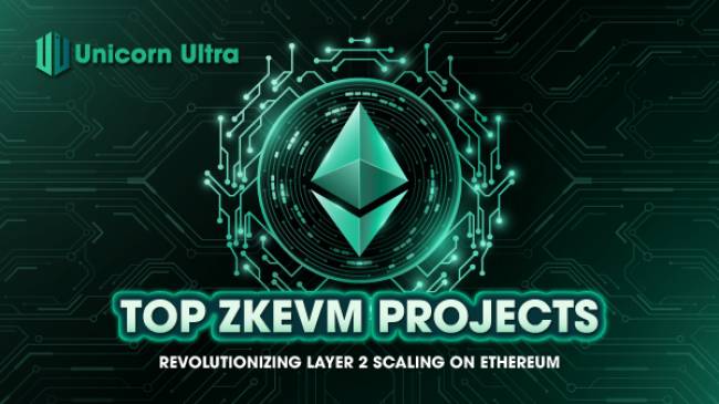 top-zkevm-projects