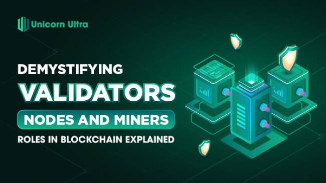 What Are Validators, Nodes and Miners?